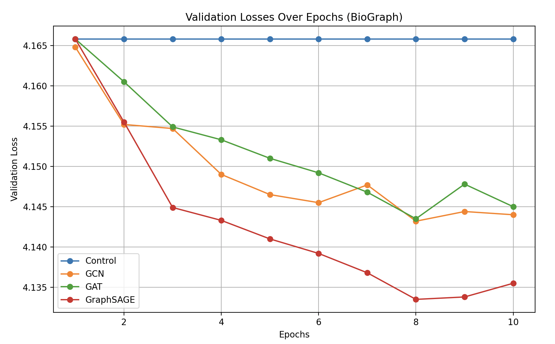 BioGraph Validation Losses Over Epochs